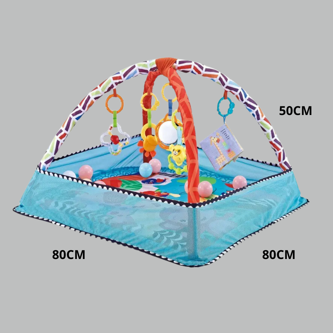 Baby Play Mat with Gym – Learning &amp; Playing from 0+ months