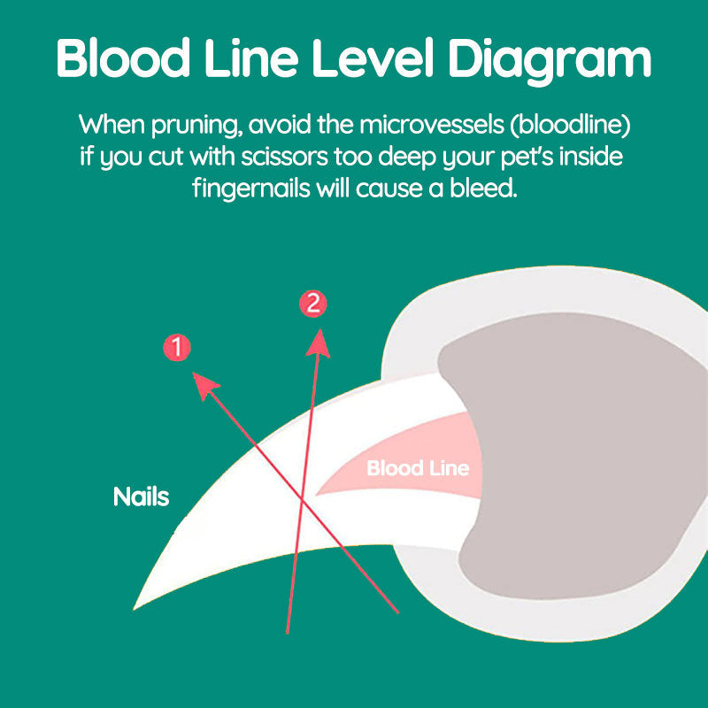 Safe Dog Nail Clipper with Quick Sensor and Comfort Grip
