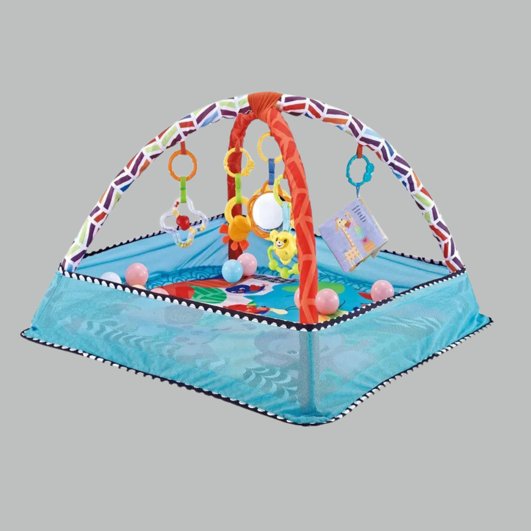 Baby Play Mat with Gym – Learning &amp; Playing from 0+ months