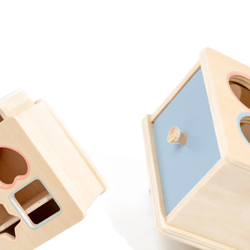 Wooden Montessori Play Box for Babies and Toddlers