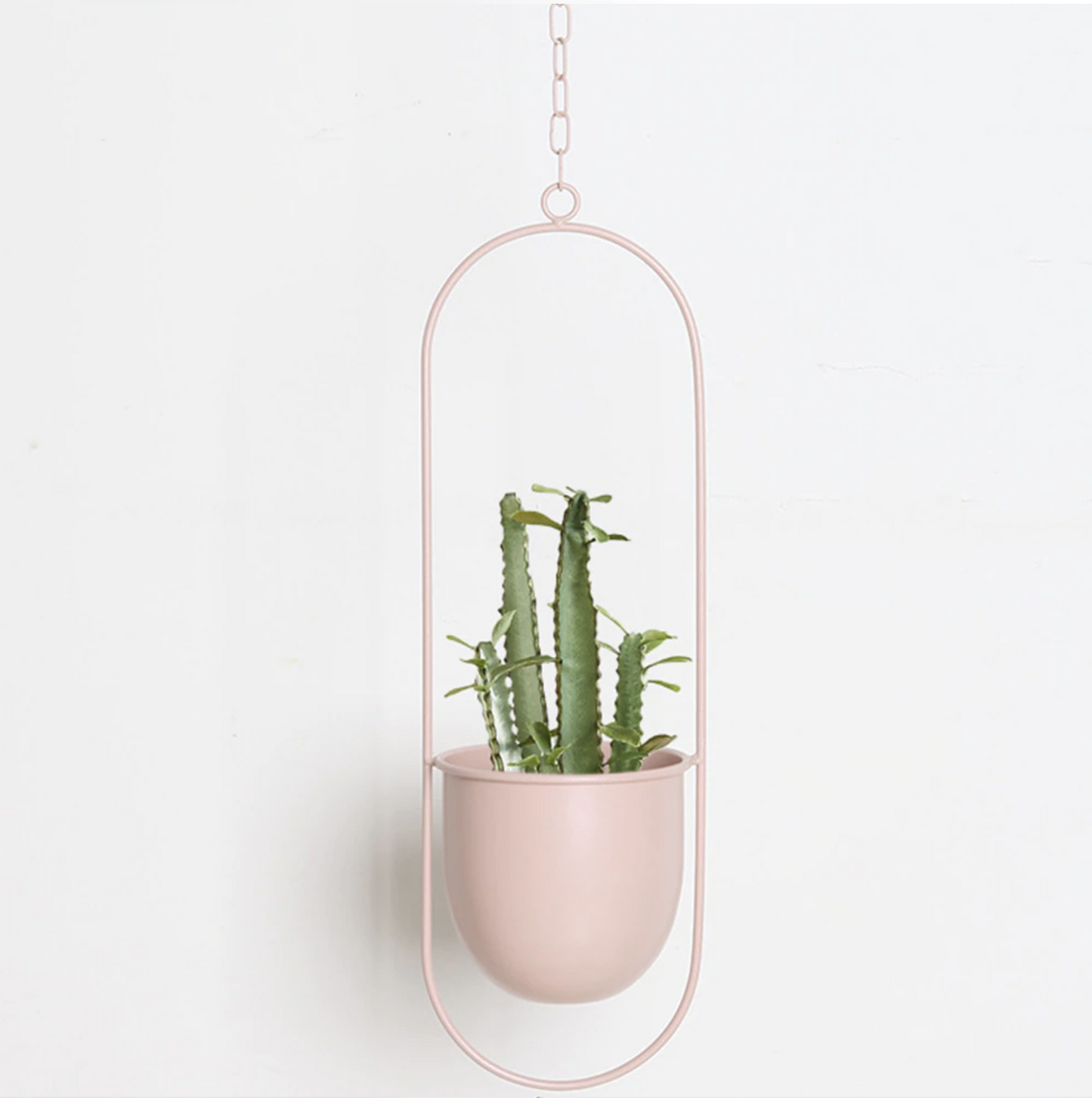 Wall Plant Holder Metal – Modern Design for Indoors