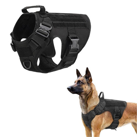 Adjustable Anti-Pull Dog Harness with Leash