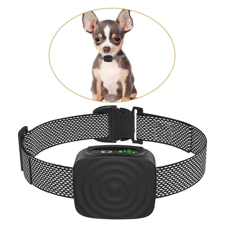 Anti-Bark Collar for Small Dogs – Safe, Quiet and Adjustable