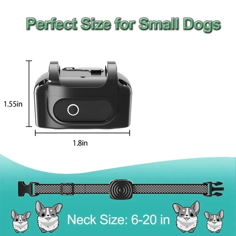 Anti-Bark Collar for Small Dogs – Safe, Quiet and Adjustable