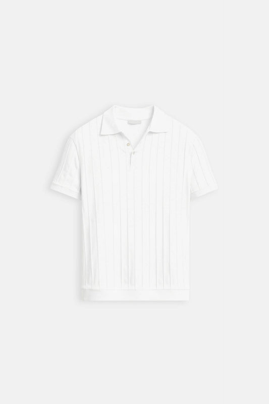 Stylish Men's Polo with Vertical Stripes