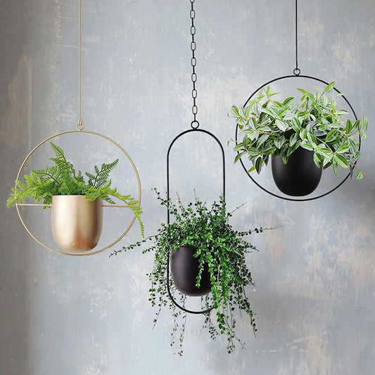Wall Plant Holder Metal – Modern Design for Indoors