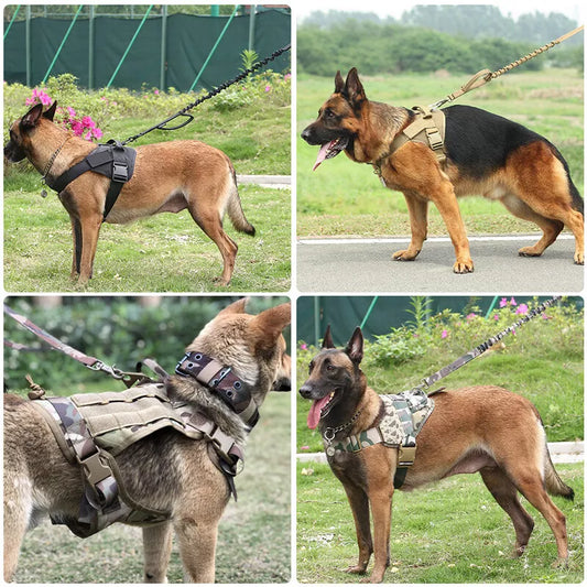 Adjustable Anti-Pull Dog Harness with Leash